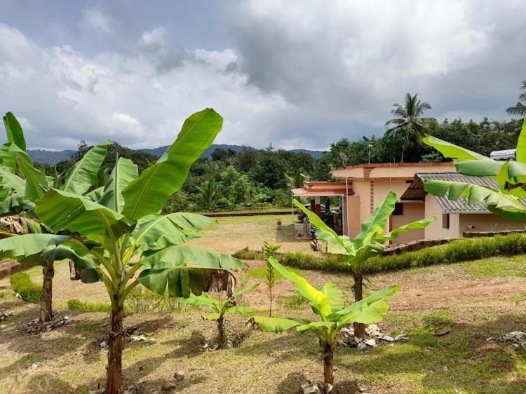 Nisarga Homestay, Dharmasthala Dharmastala Exterior foto
